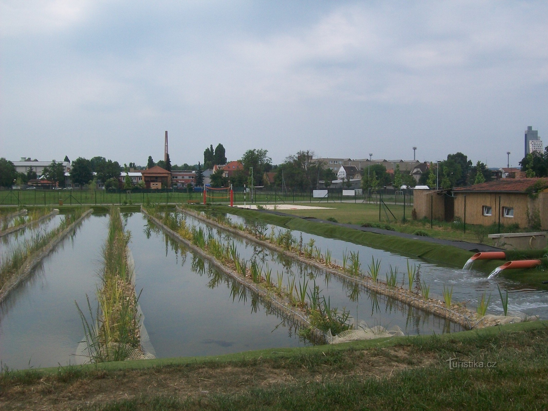 Přírodní biotop Komárov- čistička