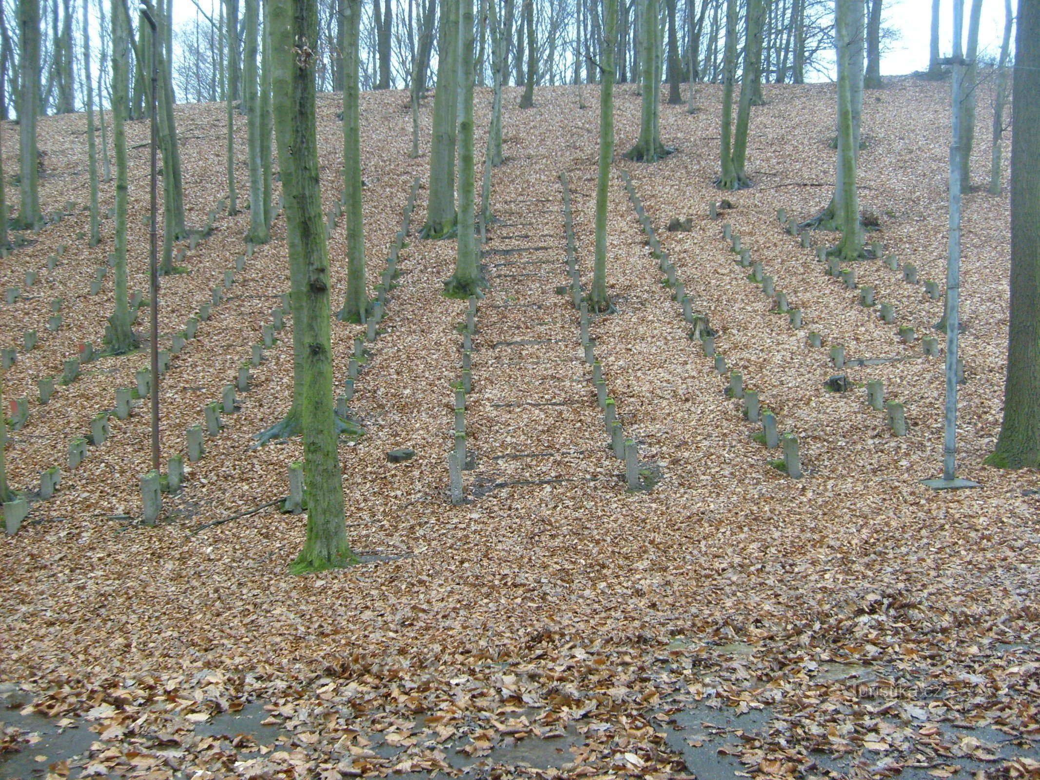 Žaravice natuurlijk theater