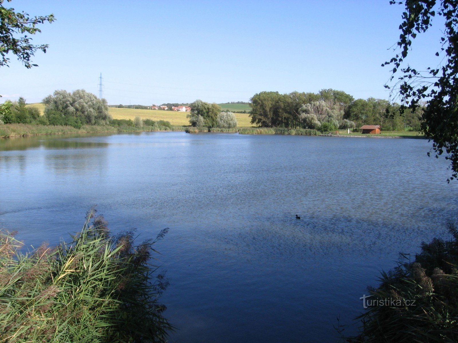 natuurlijke zwembad