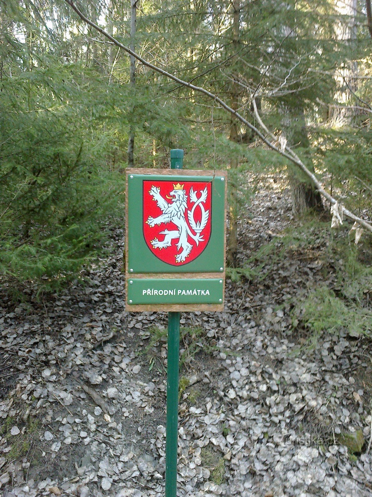 Monument al naturii