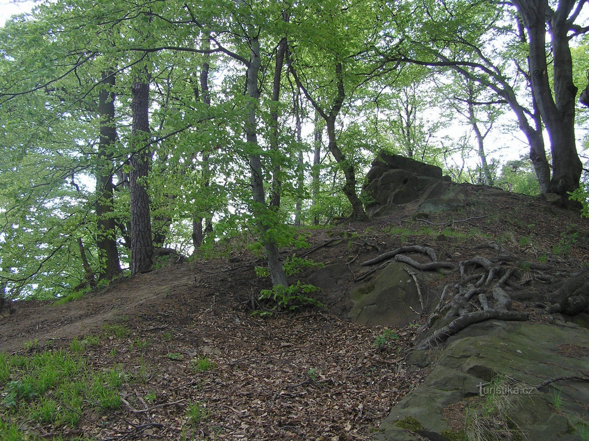 monument al naturii Barborka