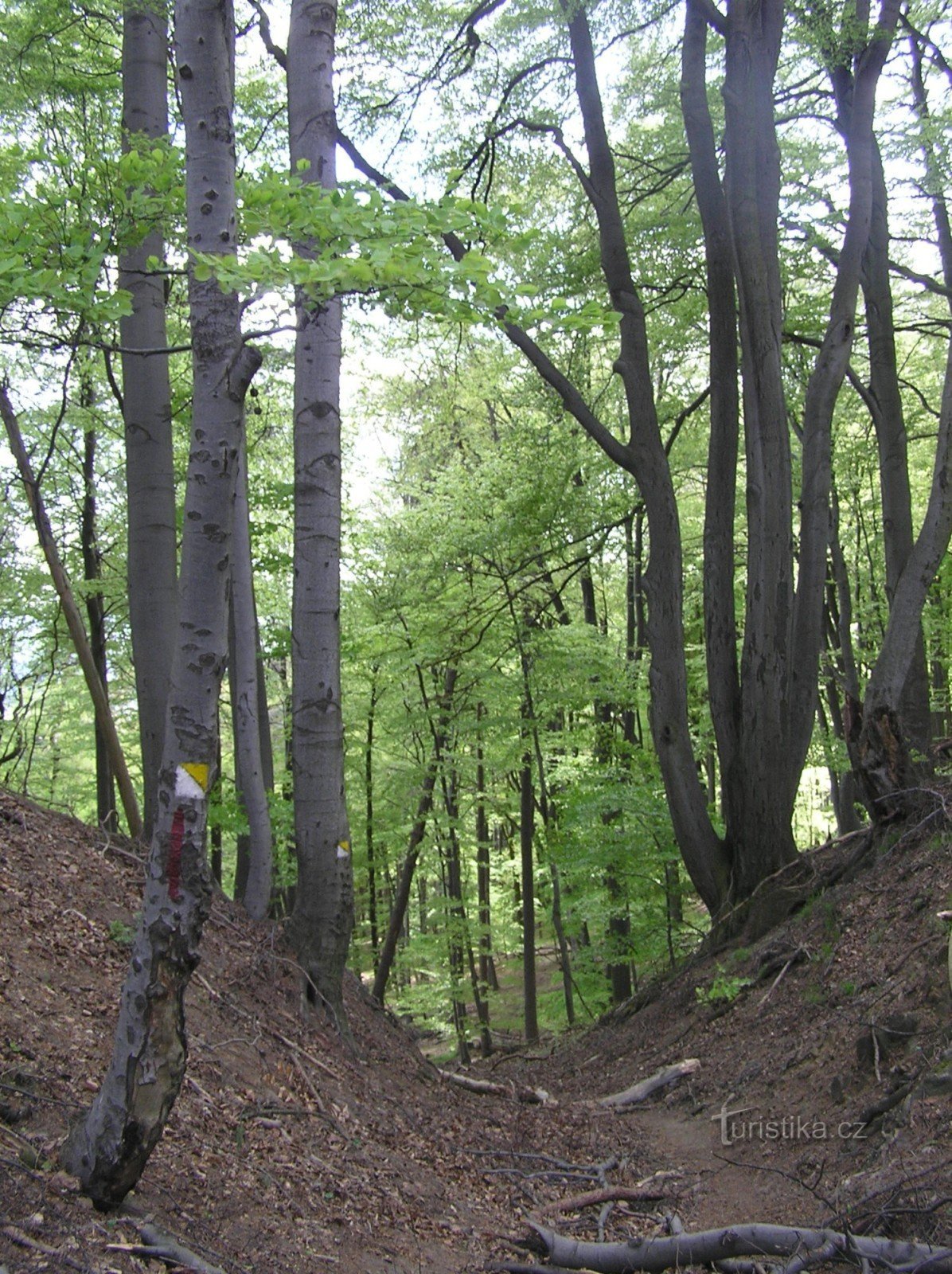 Naturmonument Barborka - gangsti fra Čertova sedla