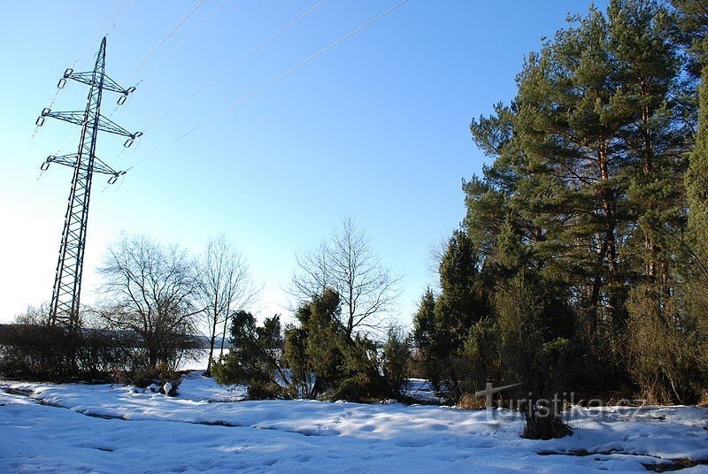 Naturmonumentet Černýšovice Juniper