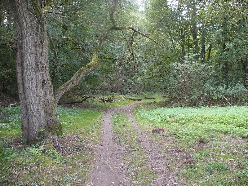 přírodní památka Čimické údolí