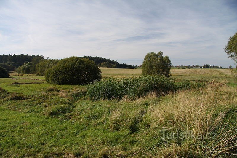 Natural monument Dehetník