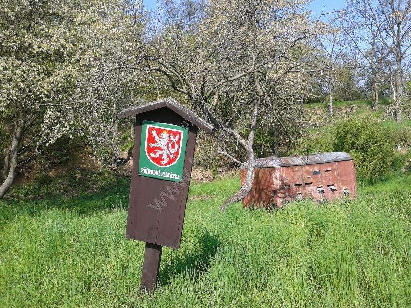 přírodní památka Dolní vinohrádky