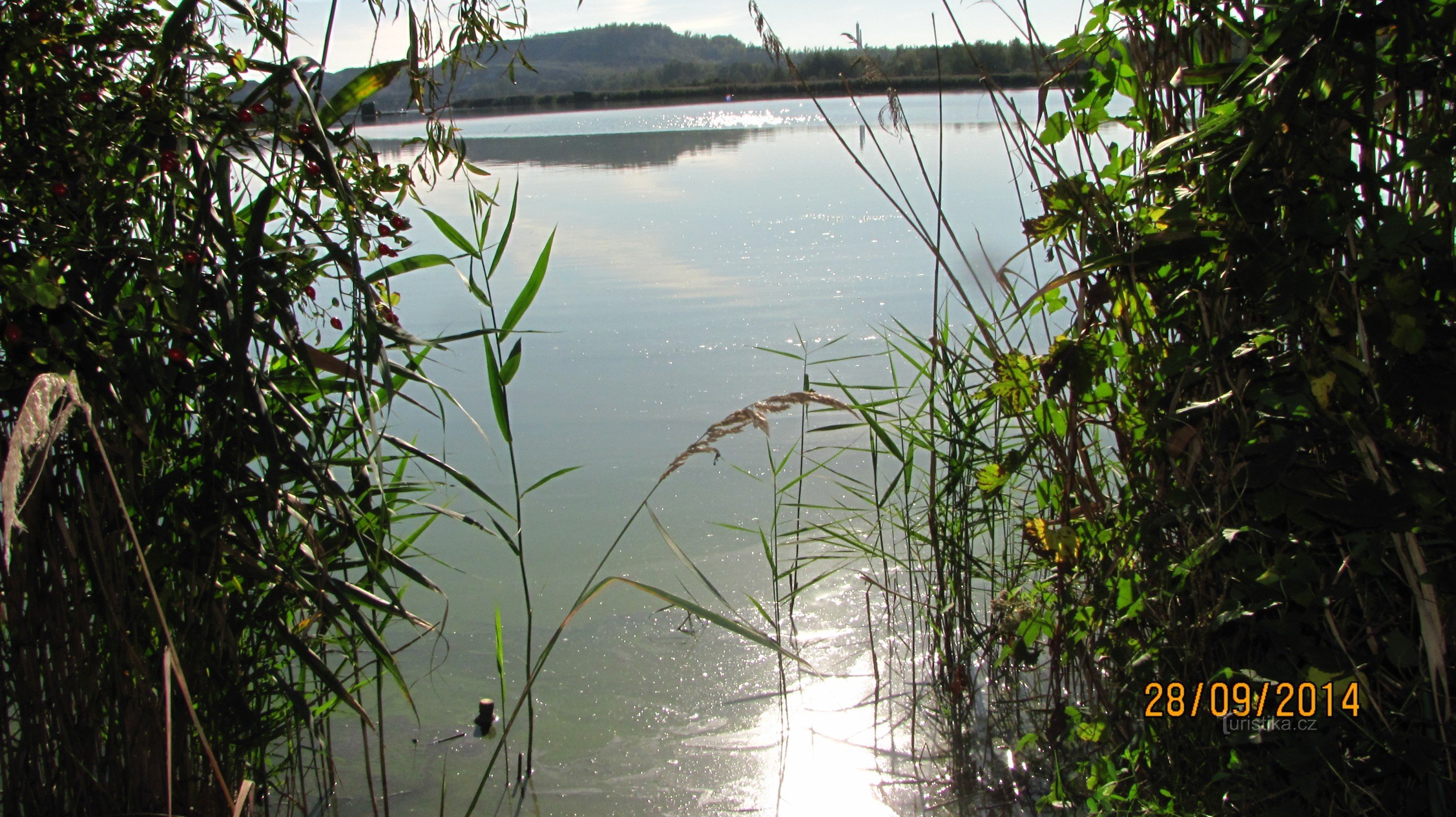 Памятник природы: Гержманицкий пруд