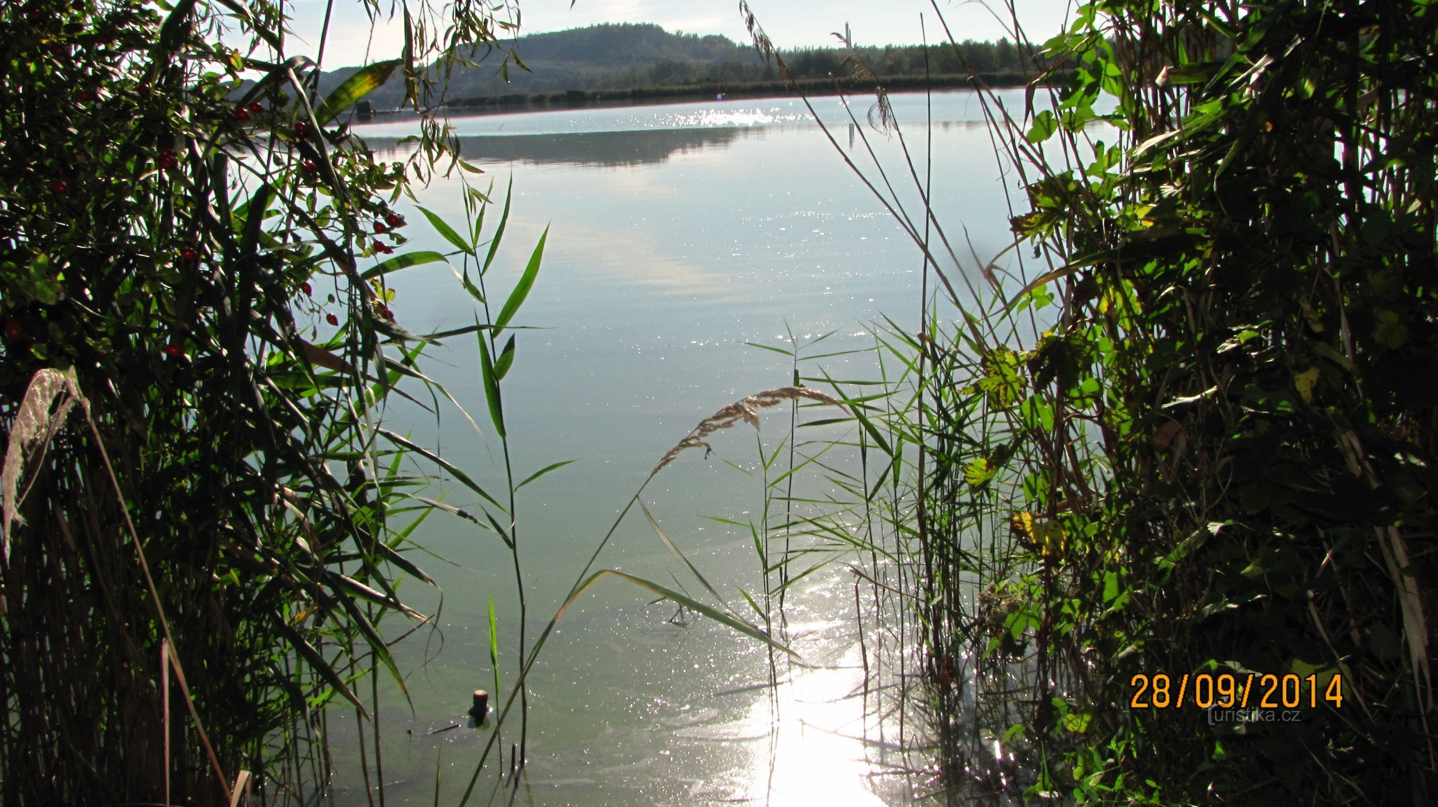 Naturmonument: Heřmanický dam