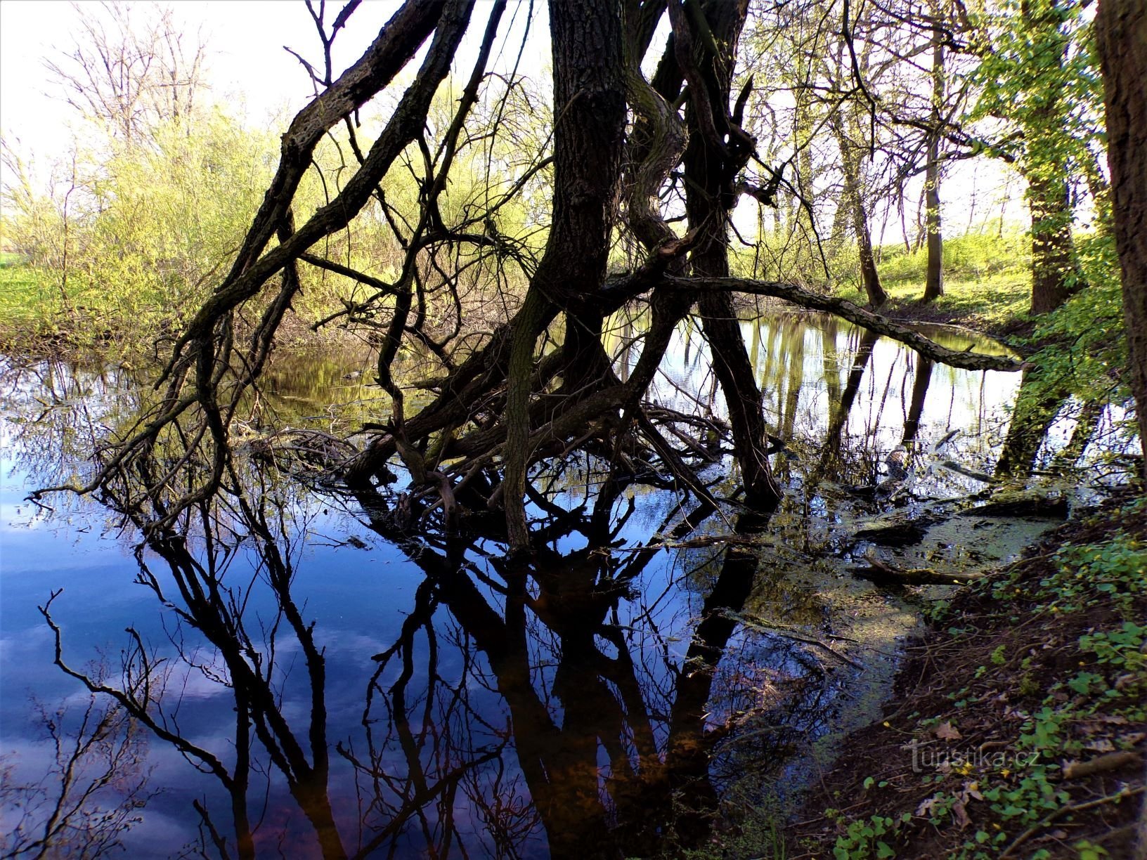 Monumentul natural „Hrozná” (Opatovice nad Labem, 9.5.2021)