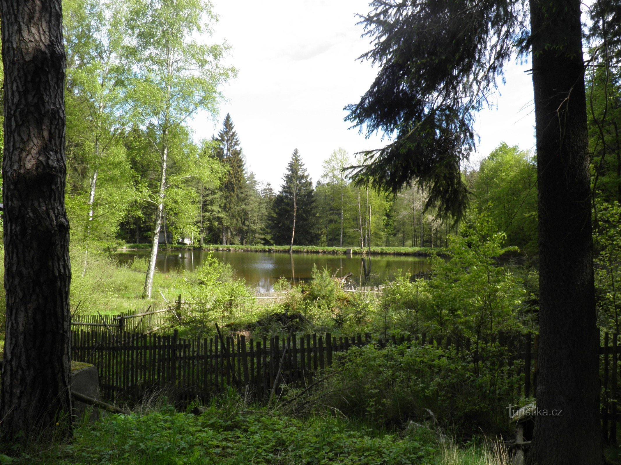 El monumento natural del estanque de Ivan.