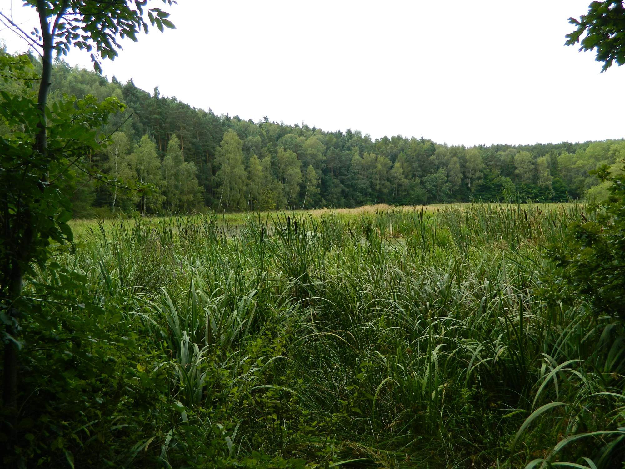 Naturminne Kalspot