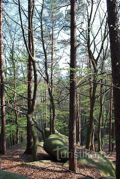 Monument naturel de Kněz u Hrazan