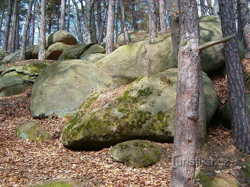 Kněz u Hrazan natural monument