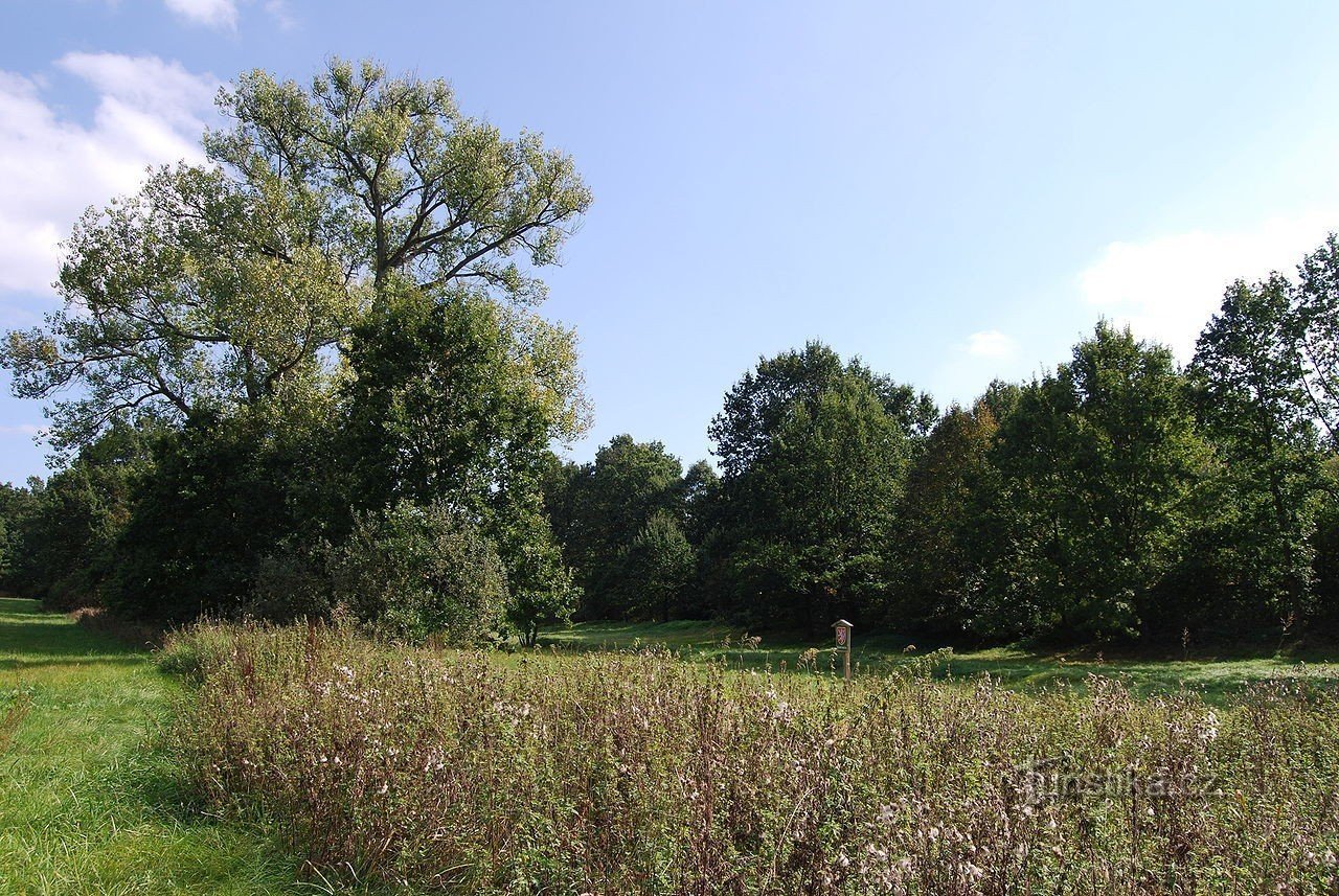 monument natural Kopáčovská