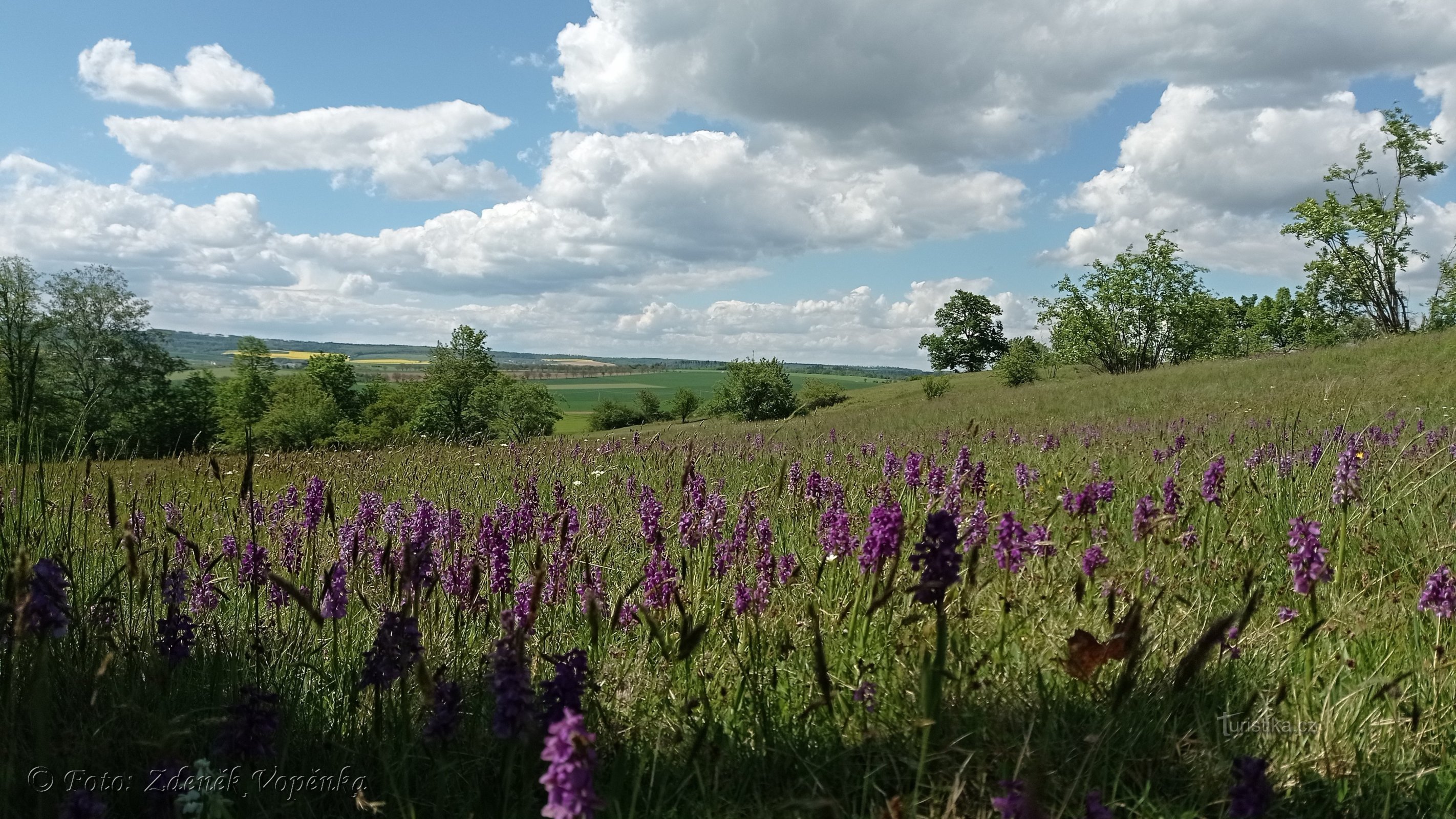 Kozének naturmonument.