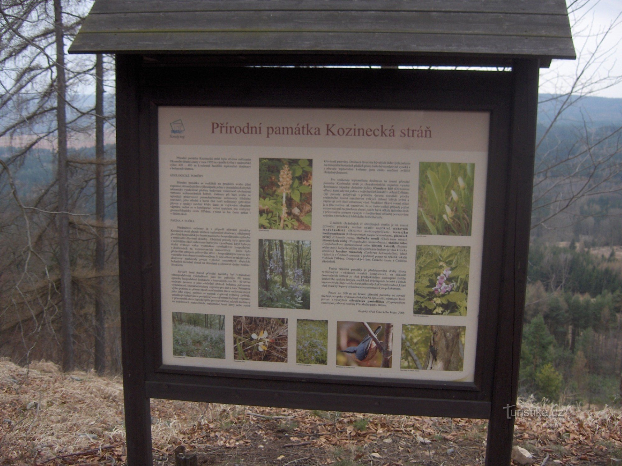 Kozinecká straň naturmonument