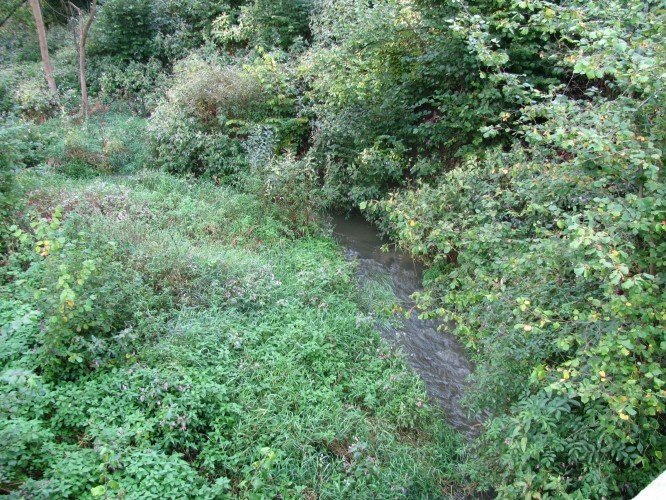 Monument naturel Křečovický potok