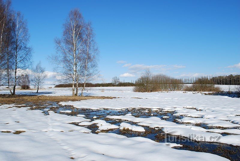 Monumento naturale di Kutina in inverno