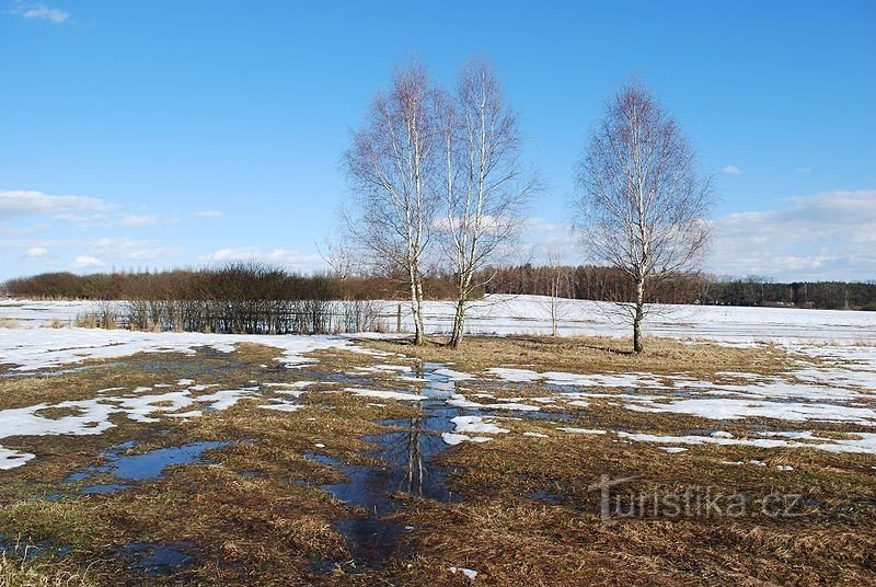 Naturdenkmal von Kutina im Winter