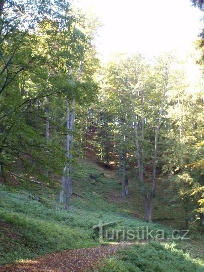 monumento natural Líska: colina