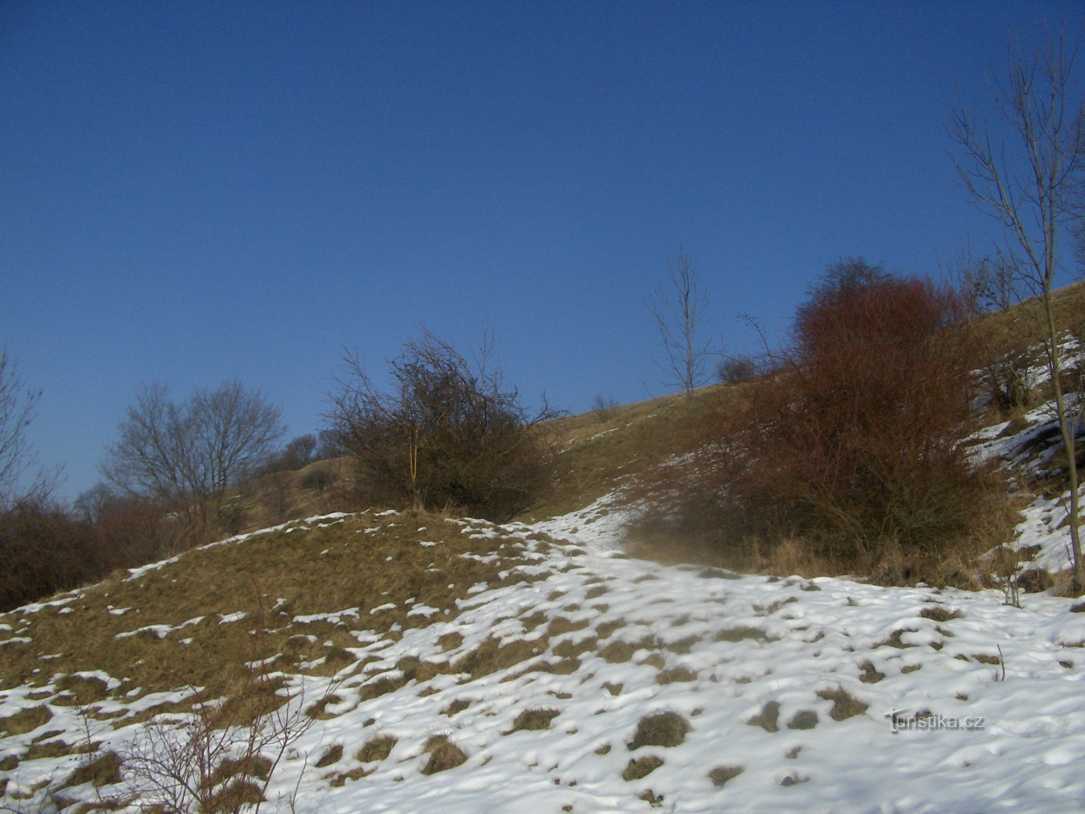 Naturmonumentet Lužické šipaka.