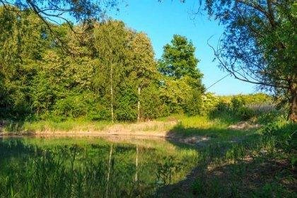 přírodní památka Michnovka-Pravy