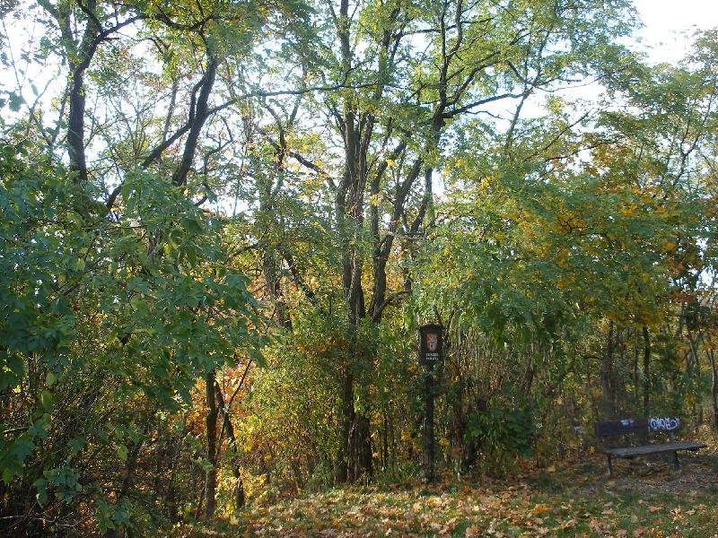 přírodní památka Okrouhlík