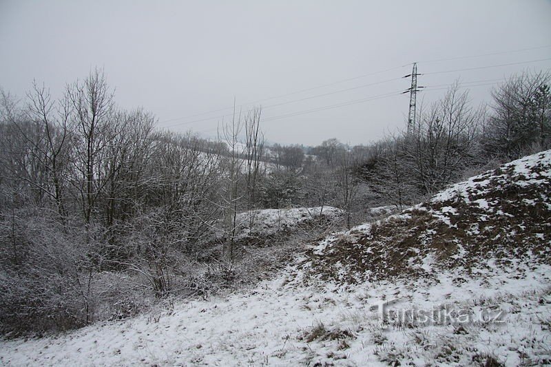 Natuurmonument Pastvina bij Přešťovice