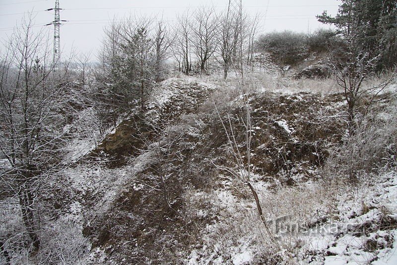 Naturmonumentet Pastvina nær Přešťovice