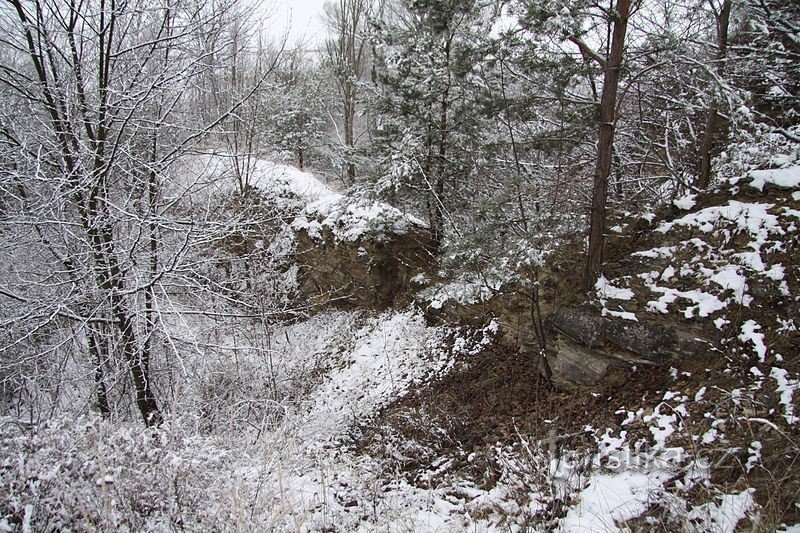 Naturmonumentet Pastvina nær Přešťovice