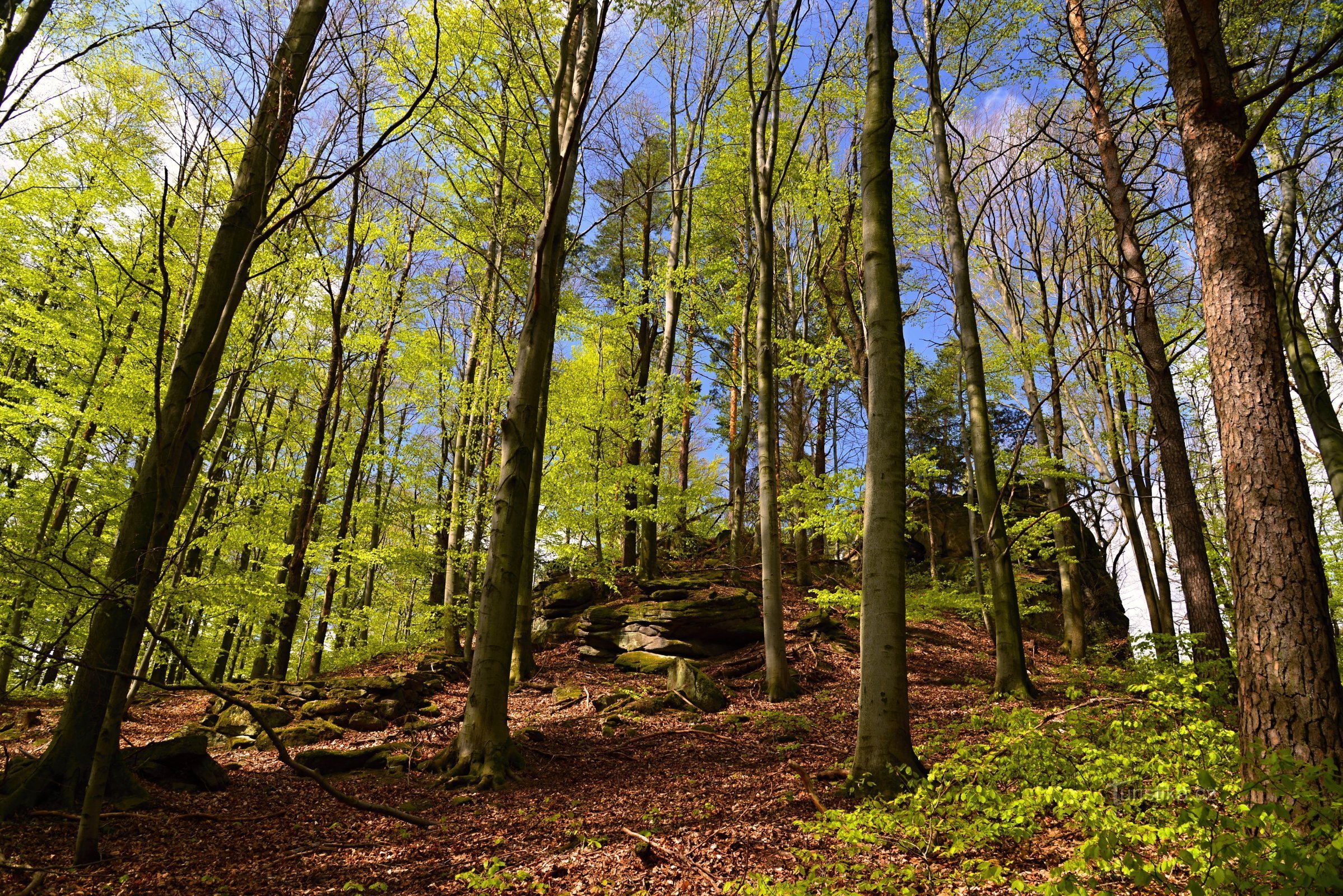 Píšťala natural monument