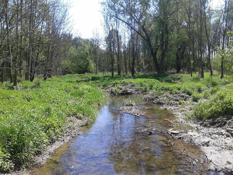 přírodní památka Pod Zápovědským kopcem