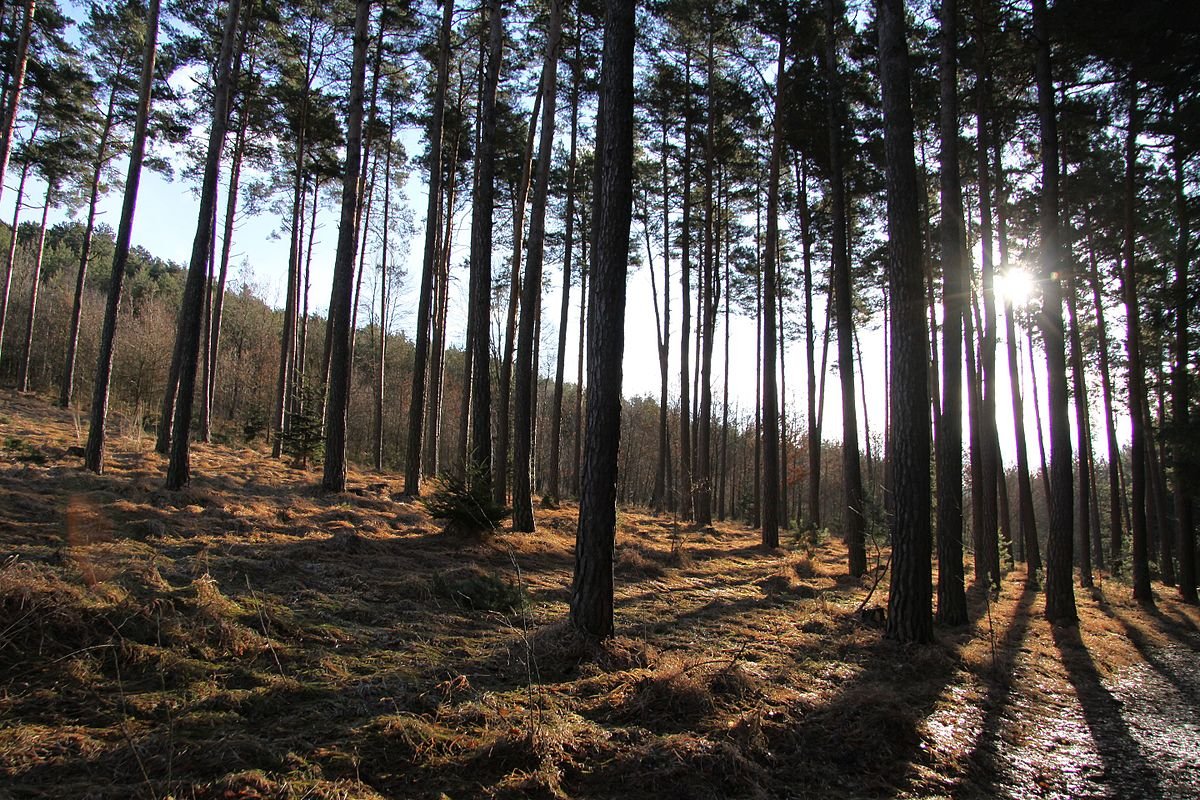 Ryšová natural monument