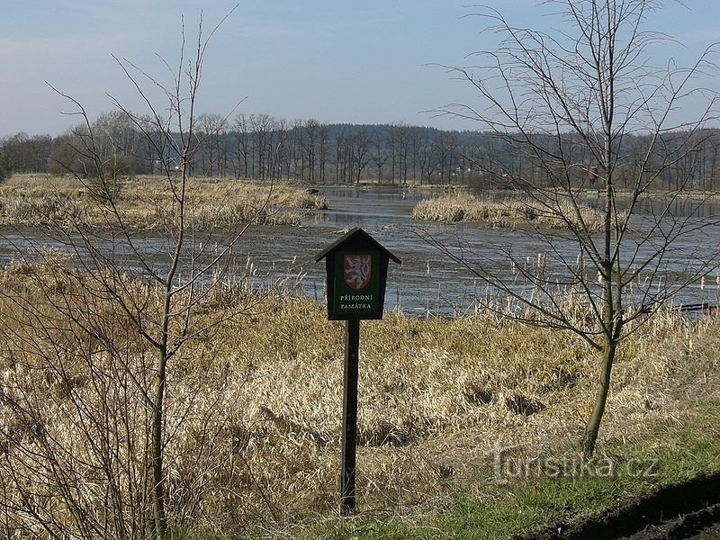 Monument naturel Skalský