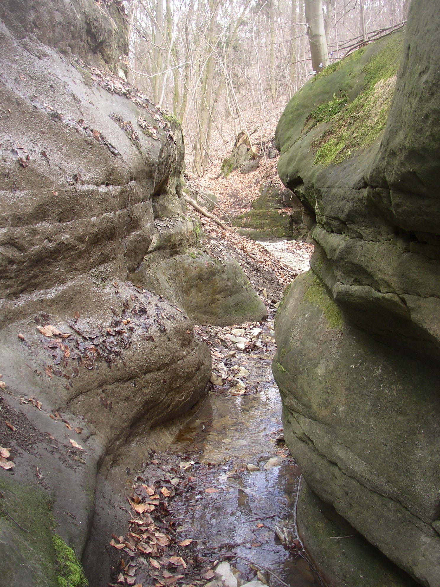 Monumentul naturii Smečenská Rokle