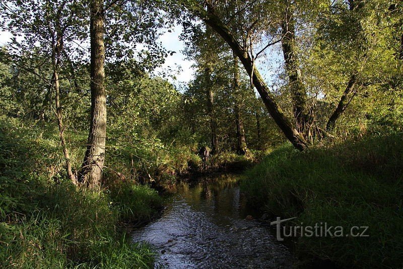 Természeti emlék Smutný