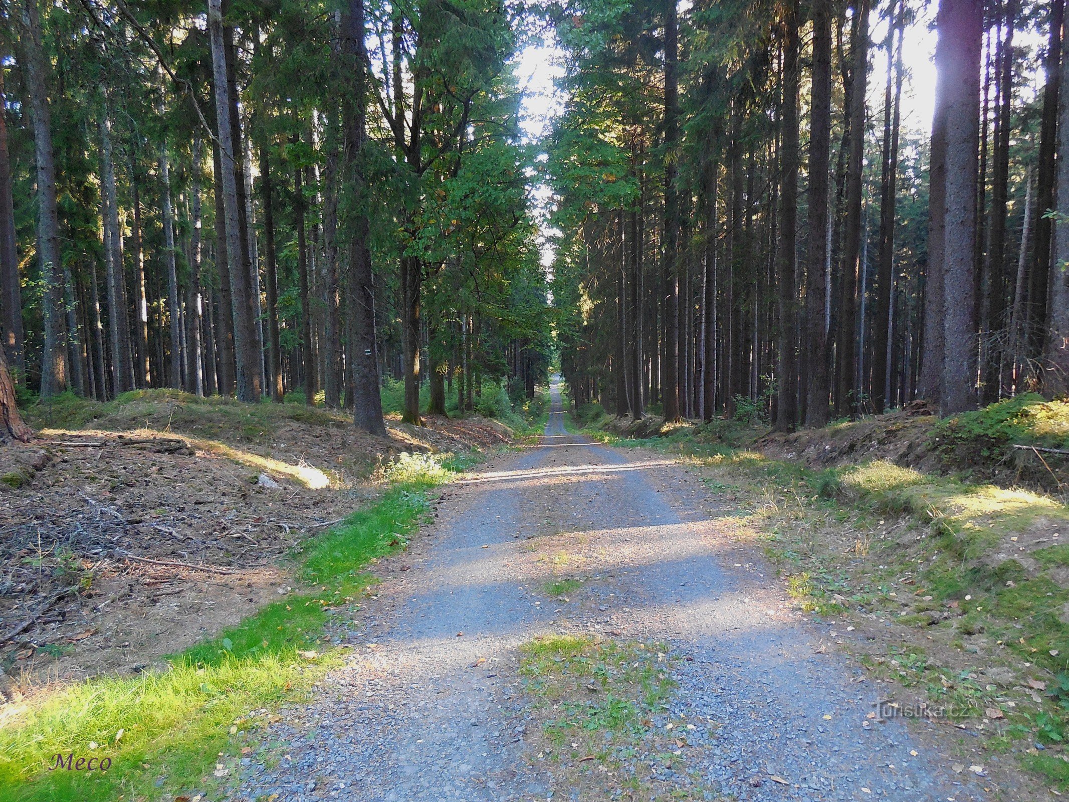 Luonnonmuistomerkki, Sokolovin näköalapaikka