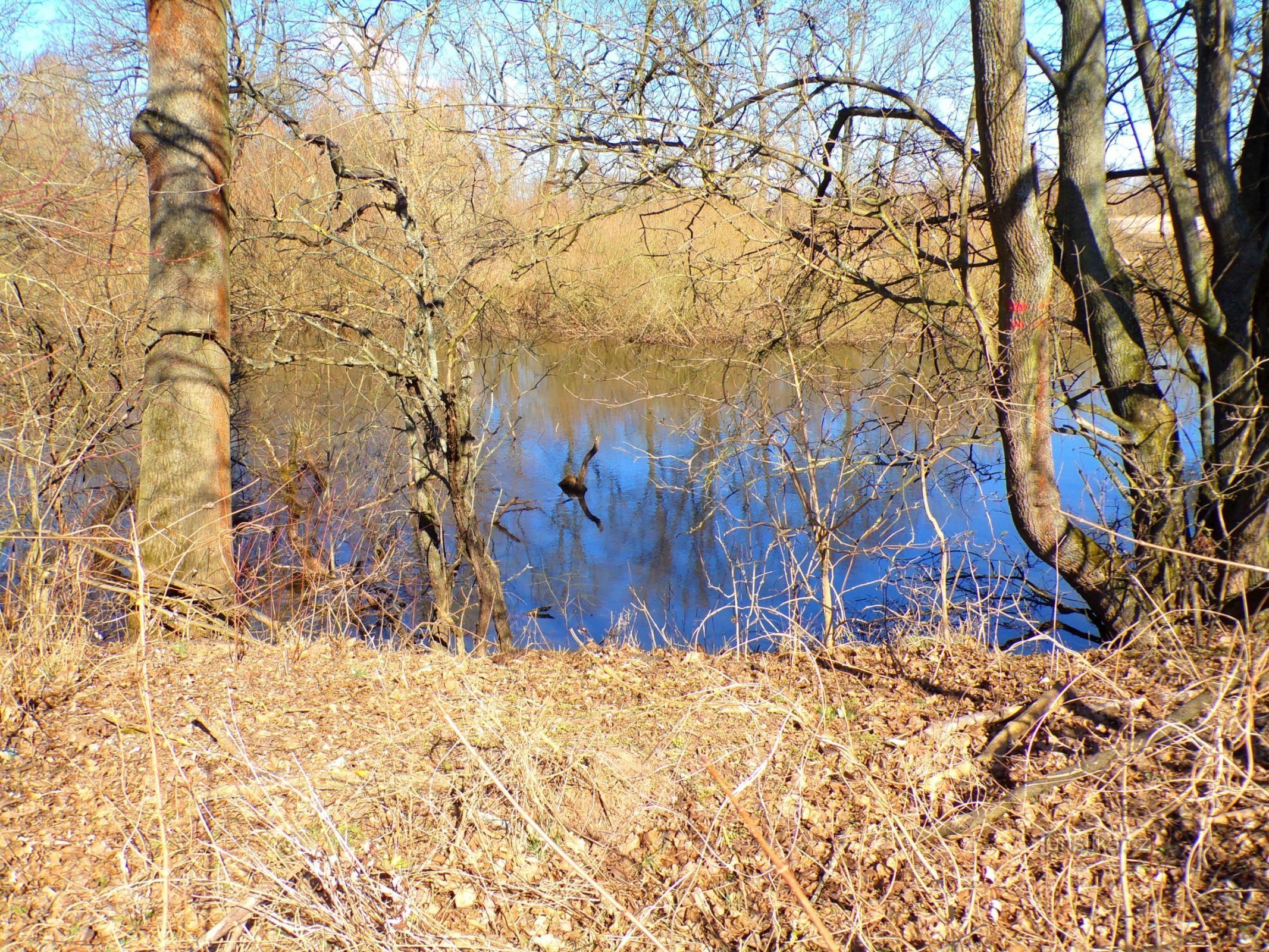 Natuurmonument