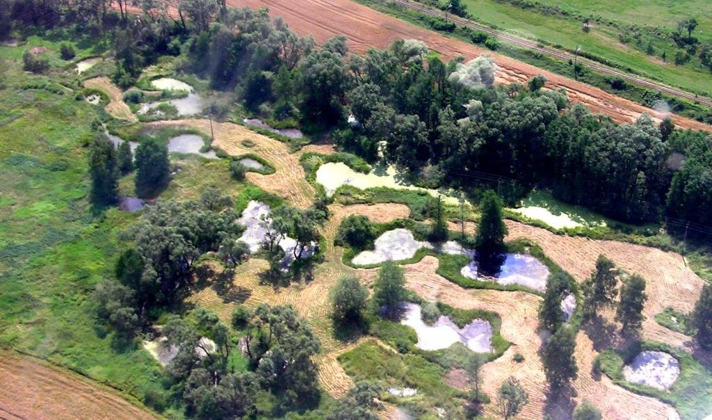 Naturmonumentet Tűně u Hajská