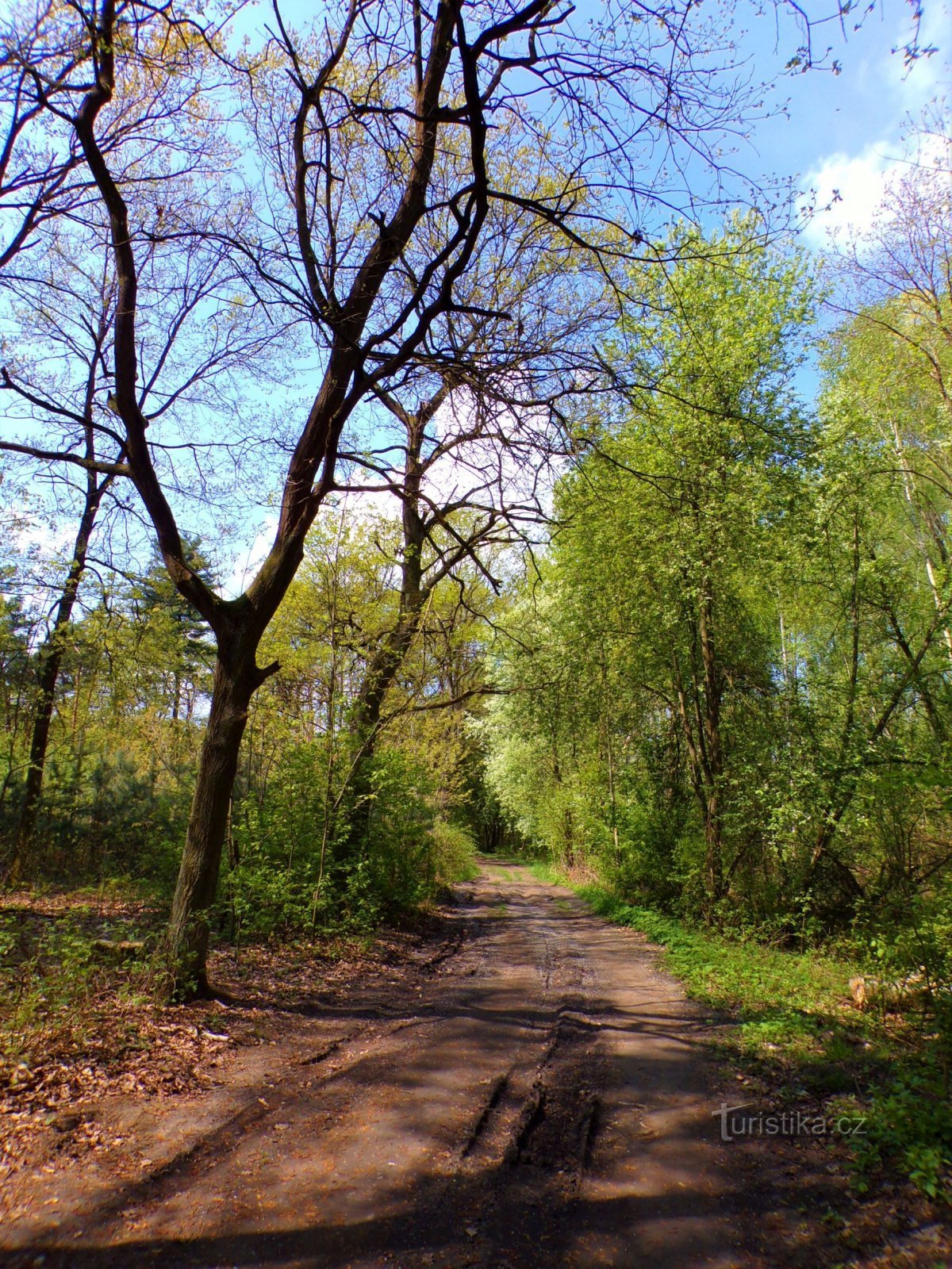 Monumentul naturii U Pohránovského rybníka (Pohránov, 4.5.2022)