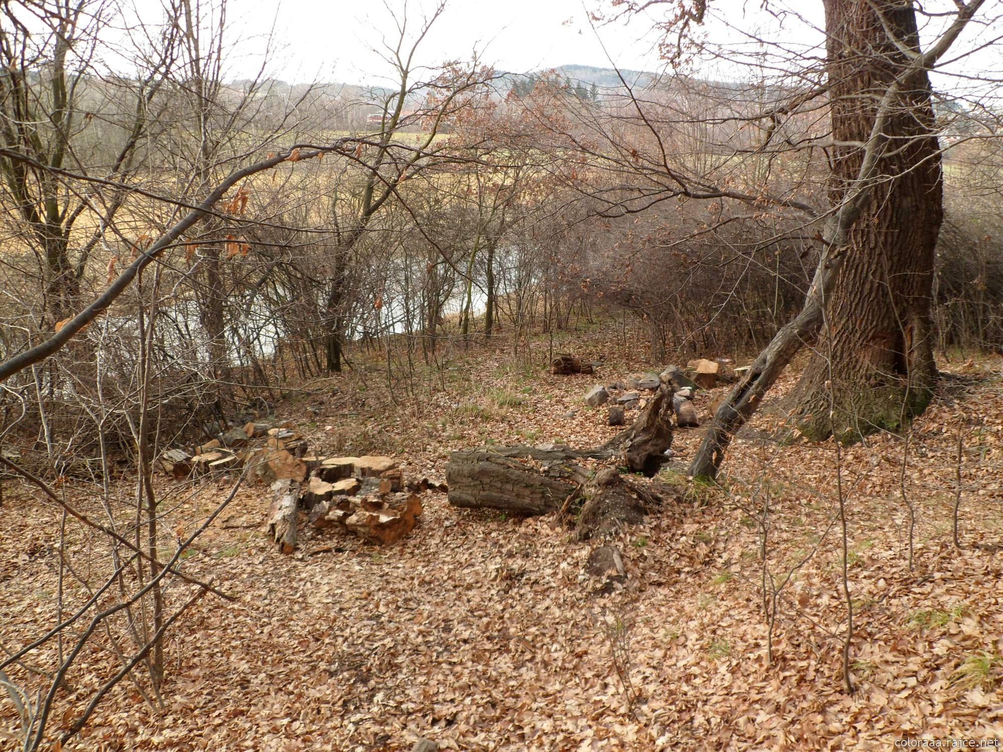 Monumentul naturii Vinice