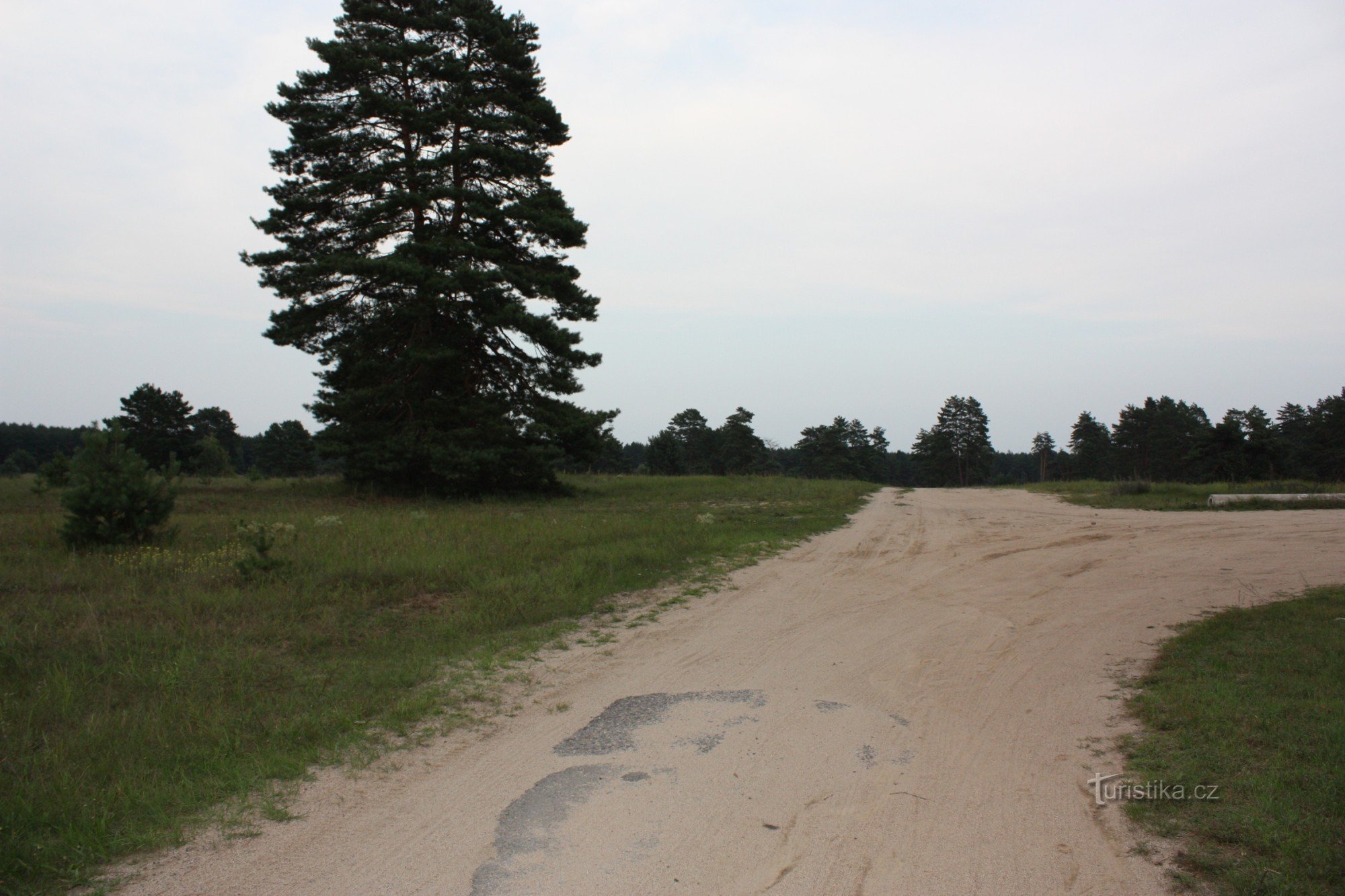 天然記念物 MILITARY TRAINING FIELD BZENEC