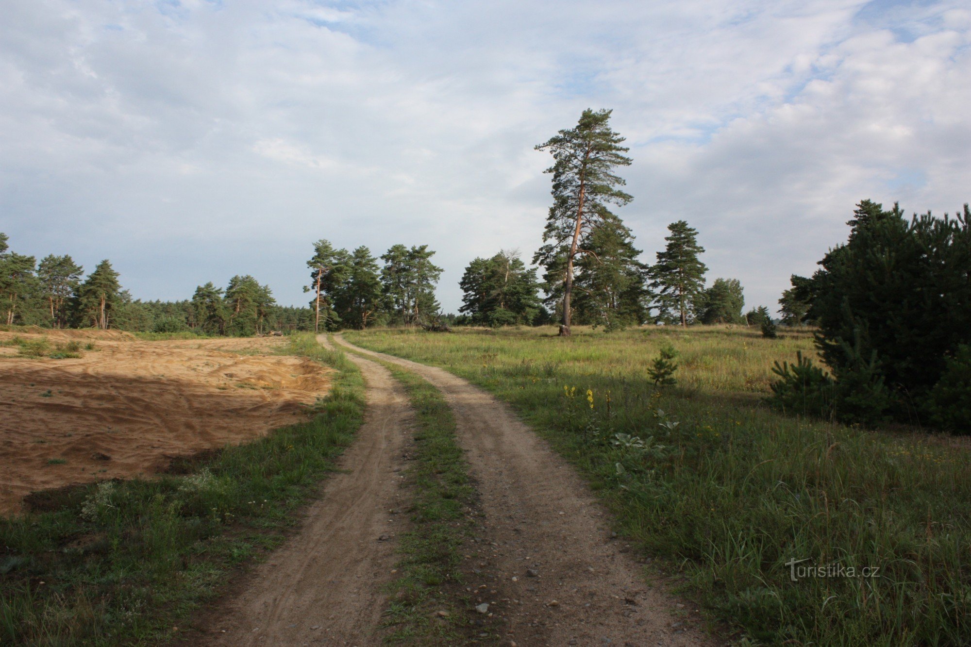 天然記念物 MILITARY TRAINING FIELD BZENEC