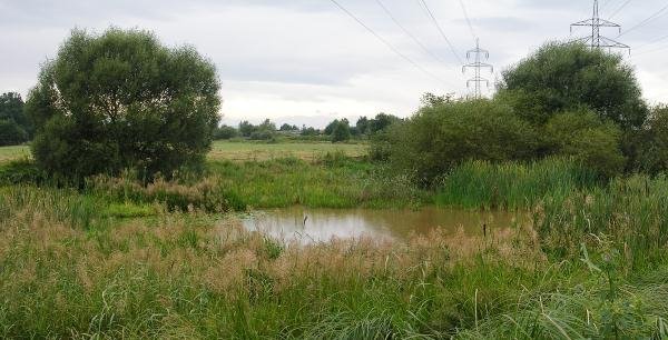 Naravni spomenik Vrbenská tůň