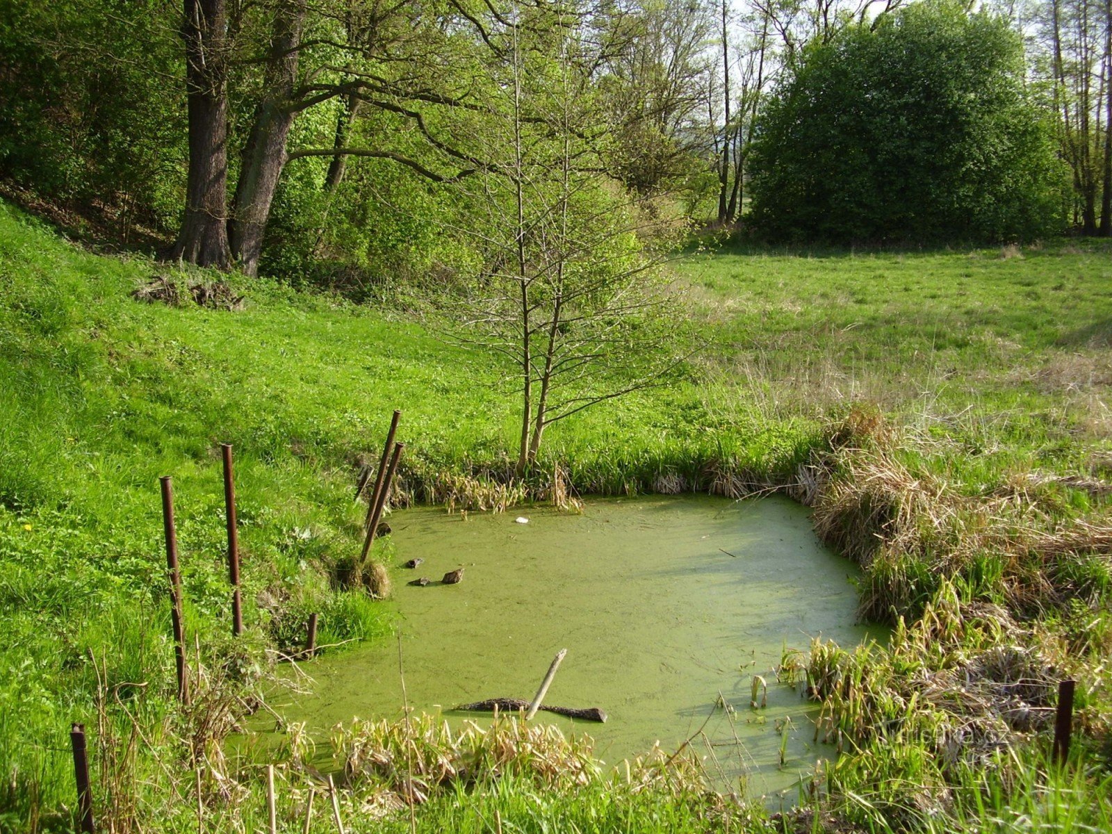 naturmonument