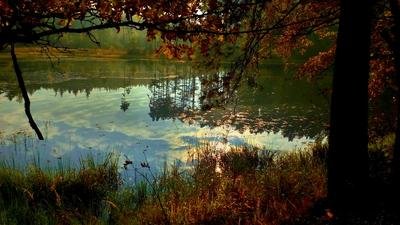 Monument naturel Žemlička