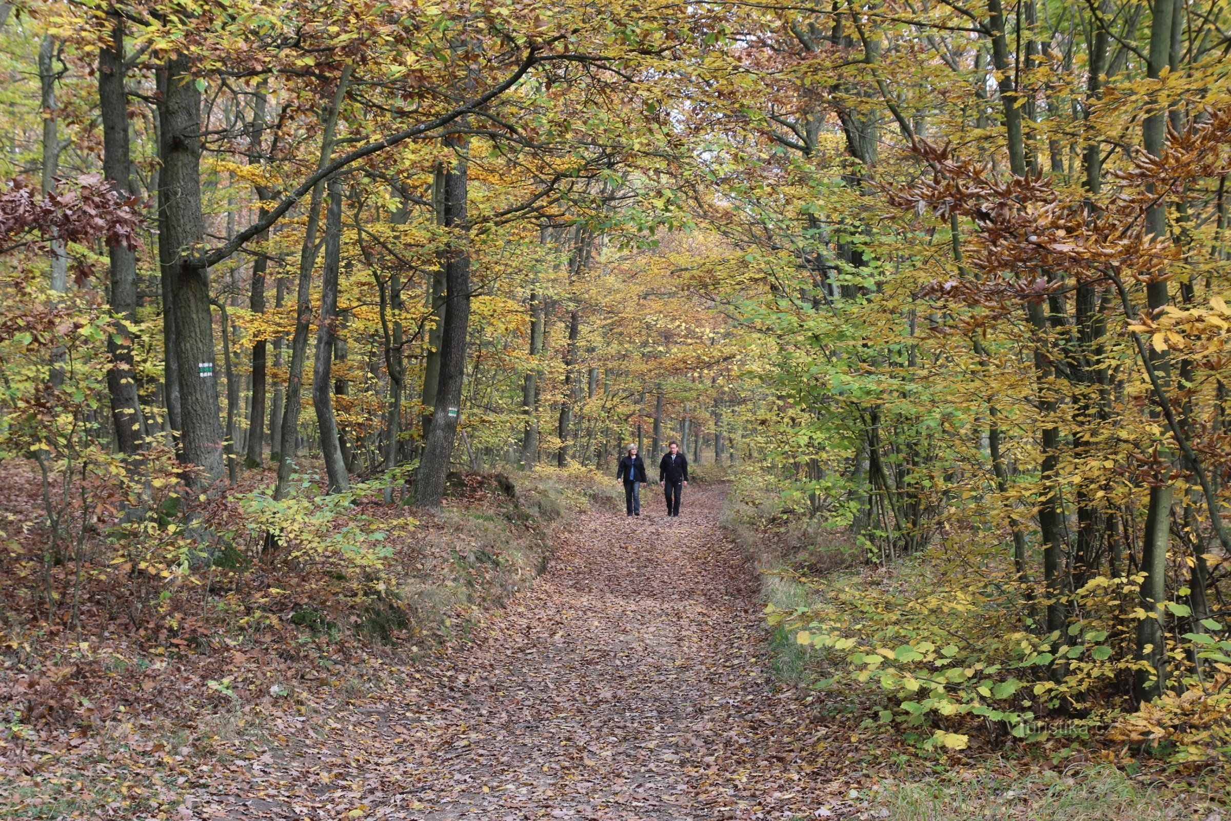 Parque Natural de Baba