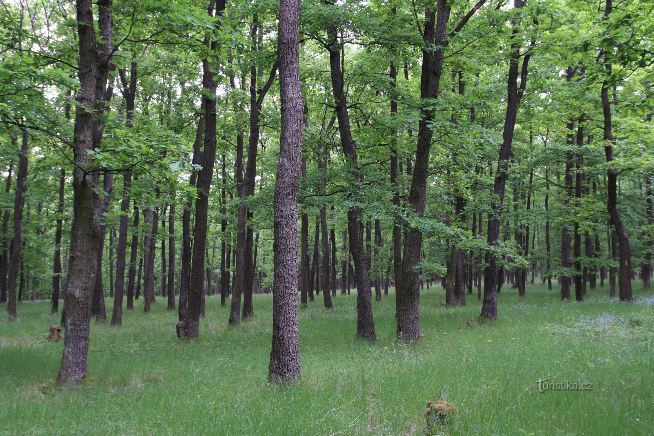 Parc naturel de Baba