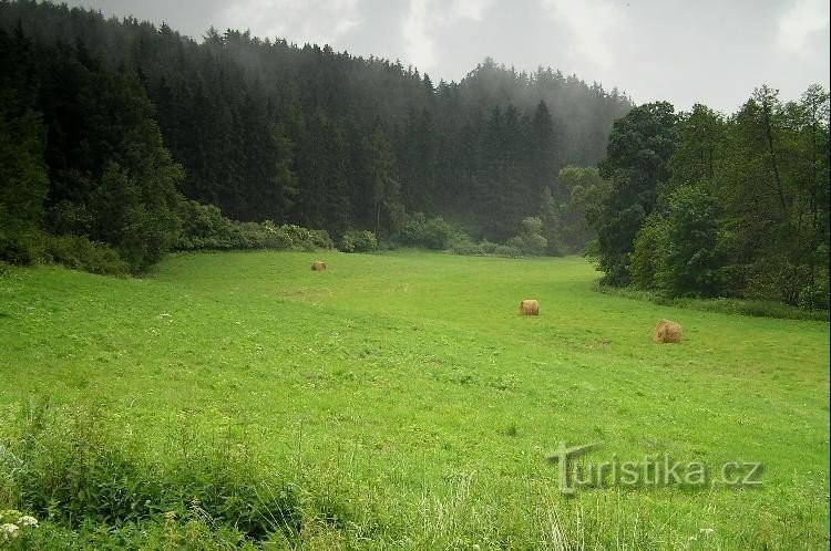 Φυσικό πάρκο Hadovka: κοιλάδα Hadovka κάτω από το Krasíkov