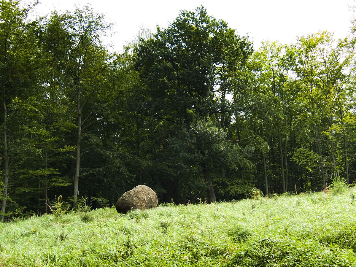 Hornopožárský les natuurpark